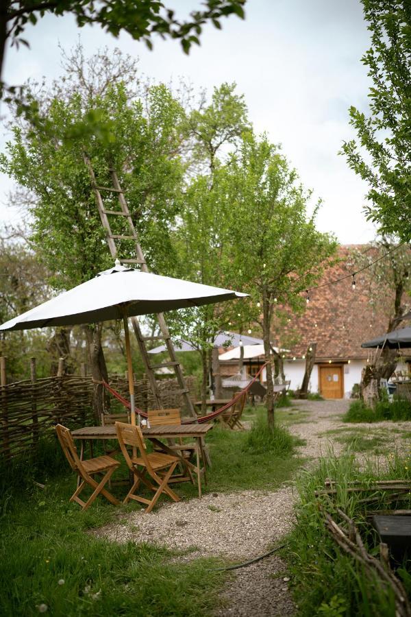 Viscri 32 - White Barn And Blue House Hotel Exterior photo