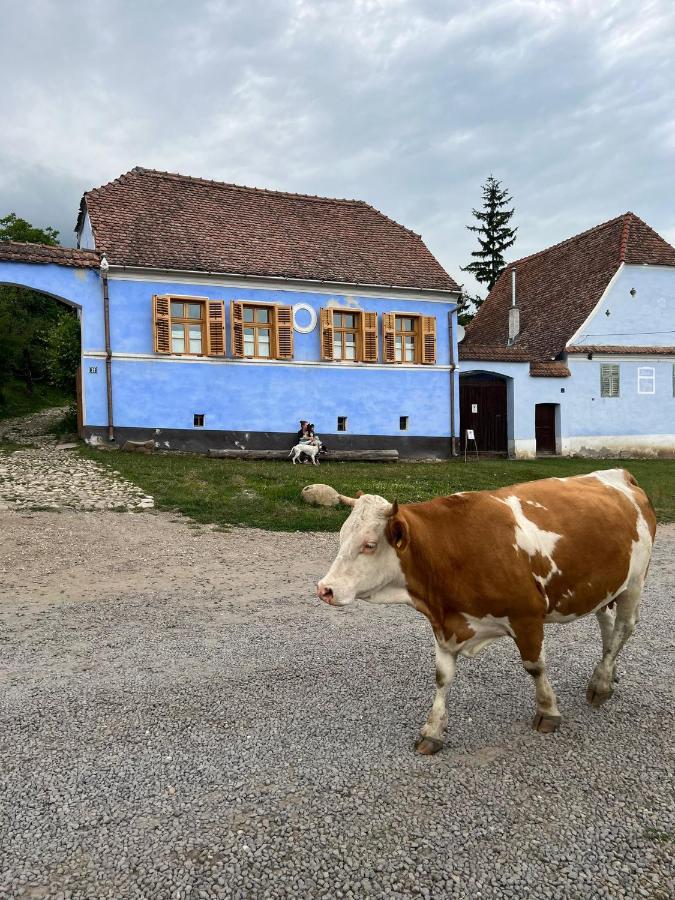 Viscri 32 - White Barn And Blue House Hotel Exterior photo